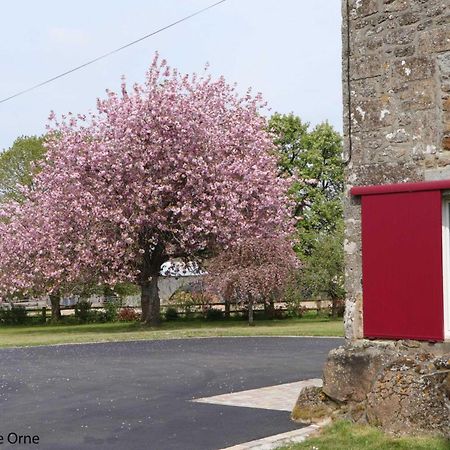 Menil-Gondouin Maison Normande Renovee Avec Grand Jardin, Ideale Pour Famille, Proche Lac Et Randonnees - Fr-1-497-143ヴィラ エクステリア 写真