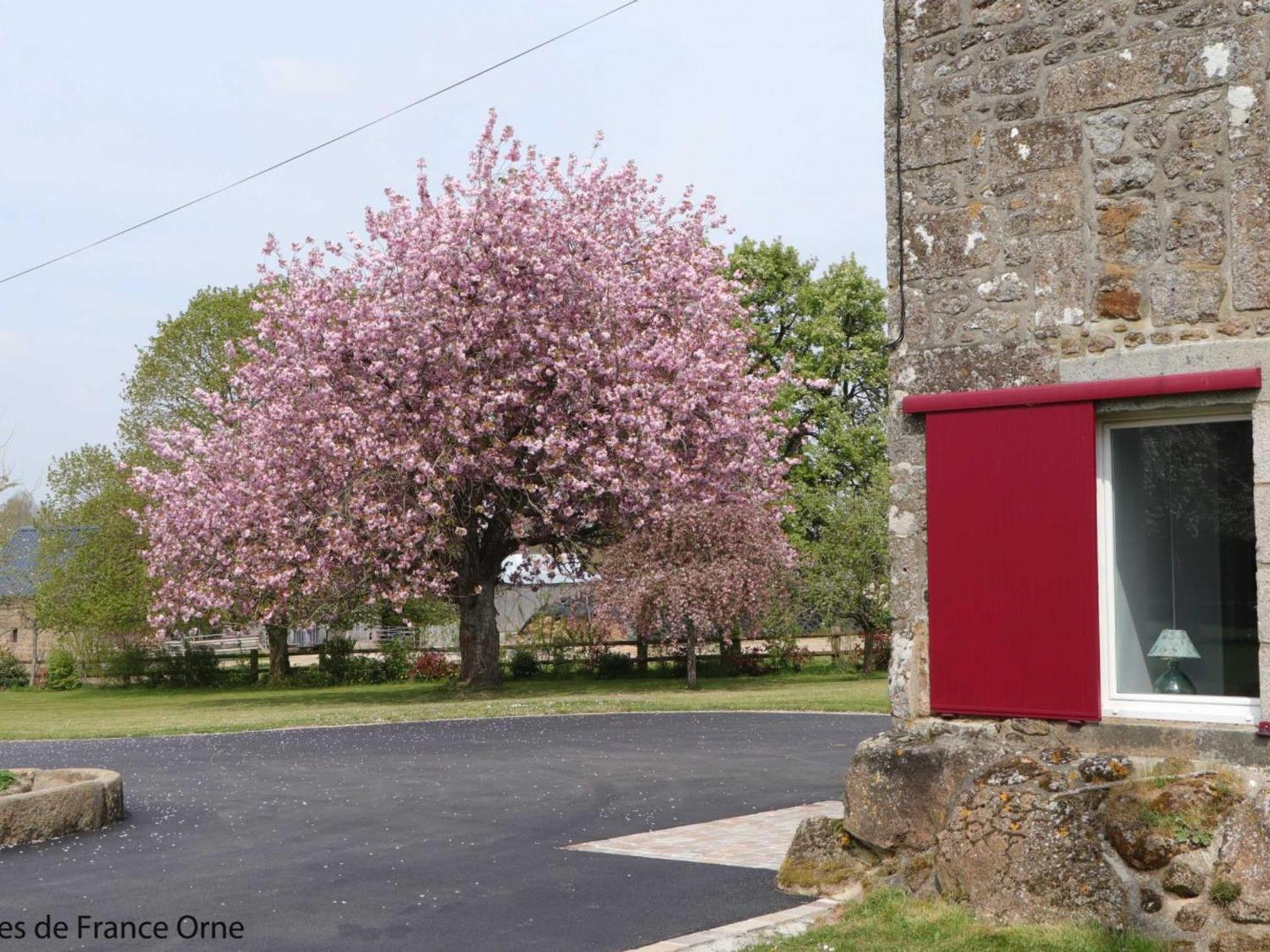 Menil-Gondouin Maison Normande Renovee Avec Grand Jardin, Ideale Pour Famille, Proche Lac Et Randonnees - Fr-1-497-143ヴィラ エクステリア 写真