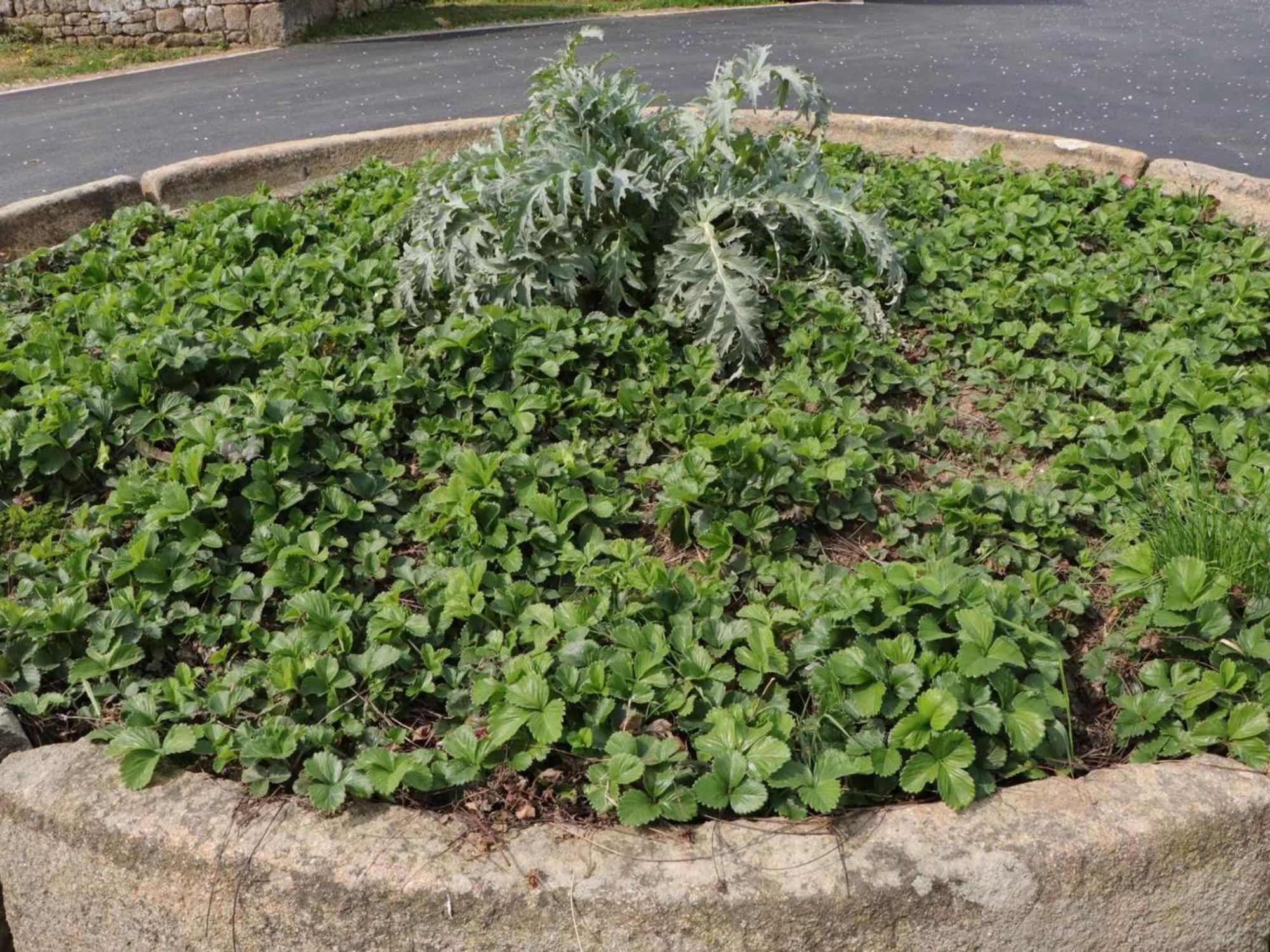 Maison Normande Renovee Avec Grand Jardin, Ideale Pour Famille, Proche Lac Et Randonnees - Fr-1-497-143 Menil-Gondouin エクステリア 写真
